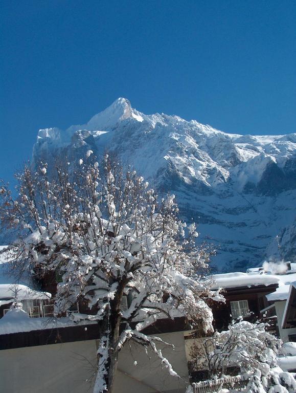 Ferienwohnungen Chalet Hohturnen Grindelwald Dış mekan fotoğraf