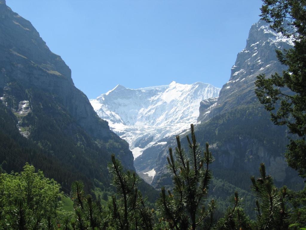 Ferienwohnungen Chalet Hohturnen Grindelwald Dış mekan fotoğraf